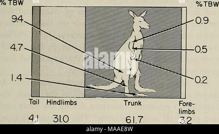 . The Ecology of arboreal folivores : a symposium held at the Conservation and Research Center, National Zoological Park, Smithsonian Institution, May 29-31, 1975 . Stock Photo