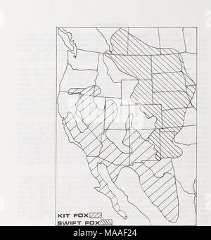 . An ecological and taxonomic review of the swift fox (Vulpes velox) with special reference to Montana . Figure 1. Historic range of the swift and kit foxes. 2 Stock Photo