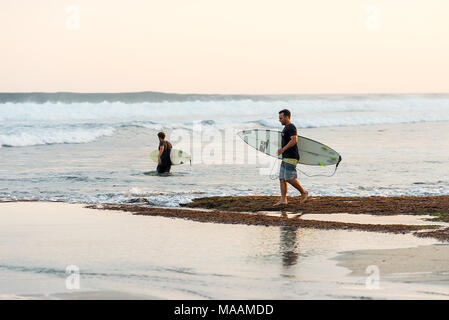 Two male surfer friends in t shirts and board shorts carrying surfboards head out from the shore in to the South china sea around south coast of Sumba Stock Photo