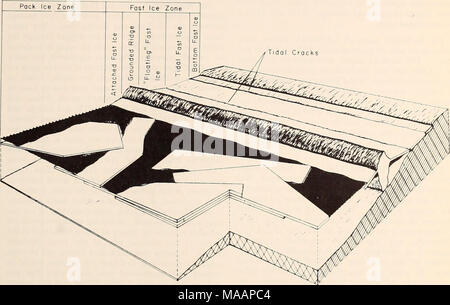 . The Eastern Bering Sea Shelf : oceanography and resources / edited by Donald W. Hood and John A. Calder . Figure 11-3. Idealized Bering Sea nearshore ice regime showing effect of large tidal variations on fast ice. As depicted here low tide has caused the fracturing of floating fast ice and the breakup of attached fast ice. This effect tends to limit the extent and stability of Bering Sea fast ice. Advective export of Bering Sea nearshore ice £ilso contributes to the limitation of fast ice. There are many areas along the Bering coast where ice motion has a significant seaward component, and  Stock Photo