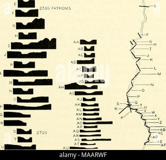 . The Earth beneath the sea : History . AA 43 42 41 2700 .N.- AH -AJ -AK -AI -AL -AM âAN ,K â¢.'â¢V-âAO -AP -AG AT 'AU ^AR AS h AZI ^ I 40 39 38 45 Fig. 22. Forty-eight profiles across the Northwest Atlantic Mid-Ocean Canyon. (After Heezen et al., 1959.) is associated with an abyssal gap through a ridge dividing the northwest arm of the Sohm Plain from the rest. In the Indian Ocean, soundings taken by the Swedish Deep-Sea Expedition in the Albatross have shown the existence of trough-shaped features in an otherwise flat and featureless floor, which have been interpreted as grabens Stock Photo