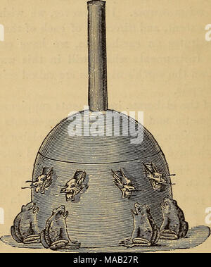 . Earthquakes and other earth movements . FlG. 1. bottle. Its outer part is ornamented by the figures of different kinds of birds and animals, and old peculiar- looking letters. In the inner part of this instrument a column is so suspended that it can move in eight direc- tions. Also, in the inside of the bottle, there is an arrangement by which some record of an earthquake is made according to the movement of the pillar. On the outside of the bottle there are eight dragon heads, each Stock Photo