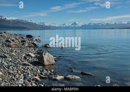 Going For A Swim In Lake Pukaki South Island New Zealand Stock Photo Alamy