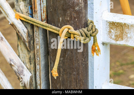 thick rope tied around a wooden stake in the forest Stock Photo