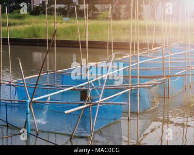 Fish cages in farm, hailand. Stock Photo