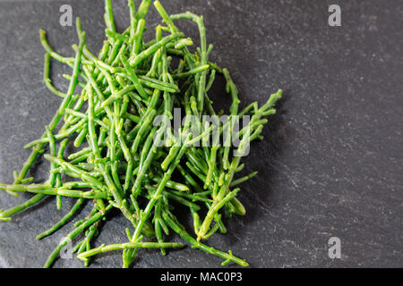 Fresh Samphire leaves on a grey slate Stock Photo