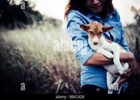Happy hipster woman smiles and holds a small dog. Little puppy with hipster girls in field sunset background. Vintage tone style. Stock Photo