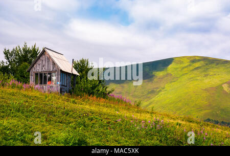 abandoned woodshed on grassy hillside. beautiful summer scenery with purple flowers in mountains Stock Photo