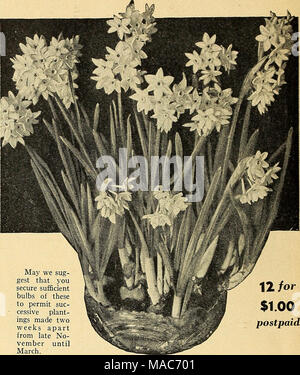 . Dreer's planting guide autumn 1944 . May we sug- gest that you