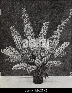 . Dreer's novelties and specialties 1939 : 101 years of Dreer quality seeds plants bulbs . Stock Photo