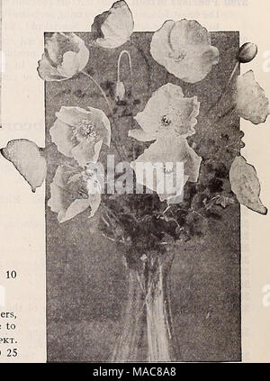 . Dreer's midsummer list 1932 . Iceland Poppies A Complete list of Spring Flowering Bulbs will be offered in our Autumn Catalogue Stock Photo
