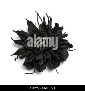 Original handicraft brooch made of fine black leather in the form of a flower with sparkling black stones in the middle Stock Photo