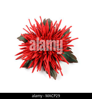 Unique handmade brooch in the form of a red leather flower with green leaves Stock Photo