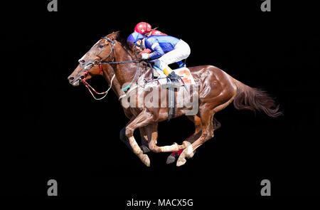 Two racing horses neck to neck in fierce competition for the finish line. Digital collage Stock Photo