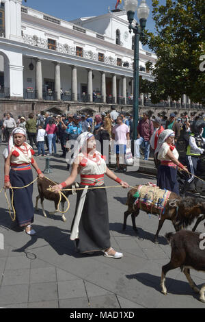 Quito, Ecuador - December 17: People in traditional Ecuadorean dresses dance as part of a parade through the Independence Square (Plaza Grande) front  Stock Photo