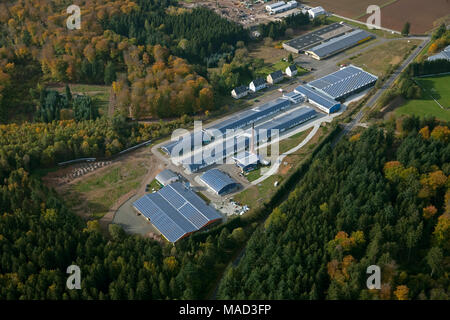 Aerial view, factory in Hermeskeil with solar roofs in the commercial area Grafenwald, photovoltaic, Hunsrückhöhenstraße, Rhineland-Palatinate, German Stock Photo