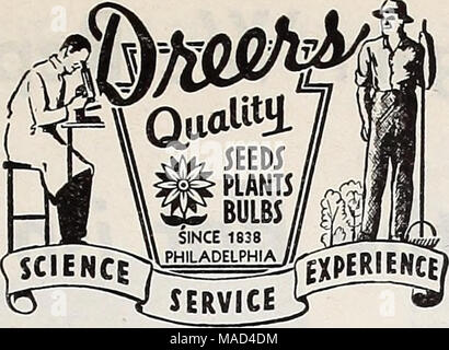 . Dreer's wholesale catalog for florists and market gardeners : autumn 1941 edition . BUY WITH CONFIDENCE WHEN YOU BUY FROM DREER'S Leader Since 1838 Henry A. Dreer, Inc. was founded over a century ago and steadily developed on the basic principle of &quot;Customer Satisfaction&quot;, which required quality merchandise and right prices with prompt and careful service. /^ 1'i. Only sturdy, healthy plants, bulbs and tested seeds ol wU.ailiy assured lineage ever are shipped from our warehouses. â Q â¢ Always the lowest possible prices consistent with the * nCSSâquality we maintain. SÂ« We invite  Stock Photo