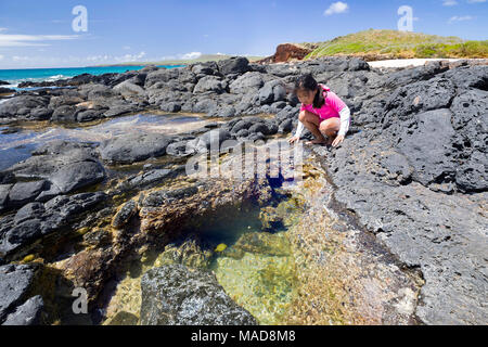 A young girl (MR) examine life in a tide pool beside Kawakiu Nui Beach on Molokai's West End, Hawaii, United States of America, Pacific.