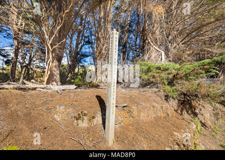 A sign for the Makakupaia trail in the Kamakou Nature Conservancy Preserve high in the forest on the island of Molokai, Hawaii, USA. Stock Photo