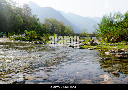 Landscape shot during morning with a stream flowing through a grassy field towards hills. The lens flare makes this a very dreamy photo. Shot in Rishikesh india on one of the camping spots Stock Photo