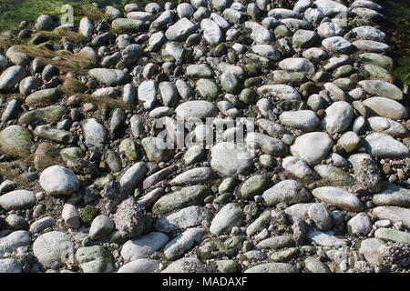 Nice background image of pebbles, round rocks texture Stock Photo