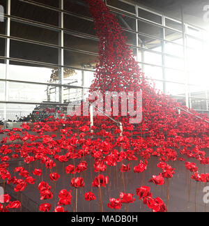 Weeping Poppies Window Cardiff, UK Stock Photo