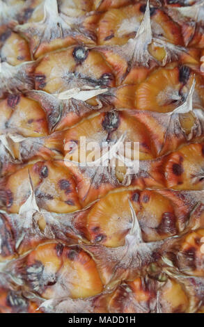 Pineapple texture Stock Photo