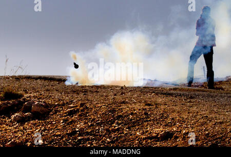 Bilin, Palestine, December 3, 2010: Protester escapes tear gas grenade by a security fence during weekly demonstrations against Palestinian land confi Stock Photo