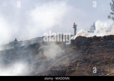 Bilin, Palestine, December 3, 2010: Protesters in a cloud of tear gas during weekly demonstrations against Palestinian land confiscation and building  Stock Photo