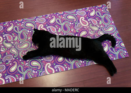 Cute black cat sleeping lying down stretched on a yoga mat Stock Photo