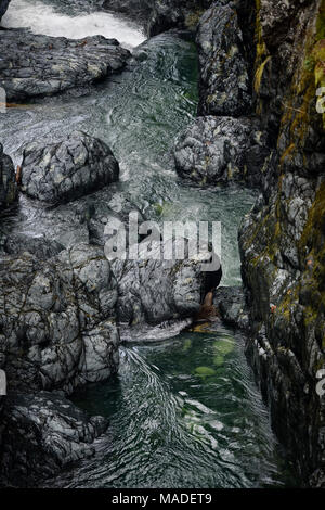 Dramatic aerial scenery of shiny rocky river banks and rapids of the Englishman River at Englishman River Falls Provincial Park. Errington, Vancouver  Stock Photo
