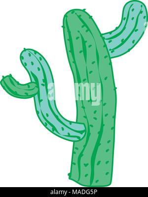 duo color tropical cactus plant nature in the desert vector ...