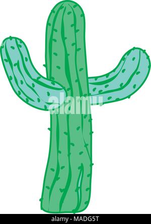 duo color cactus plant nature design in the desert vector illustration ...