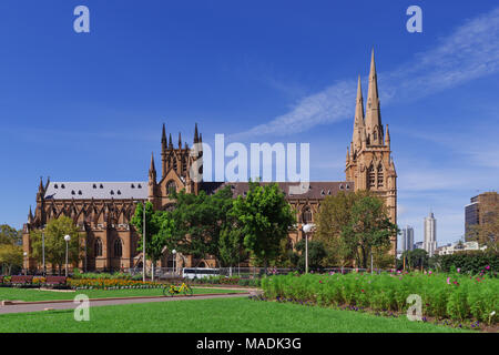 St. Mary Cathedral in Sydney city Australia Stock Photo