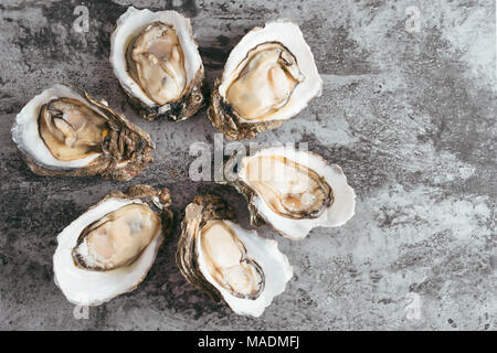 Opened Oysters on black metal rustic background Stock Photo