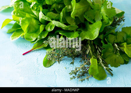 Food background. Various summer green vegetables, spices and fresh herbs on blue concrete background. Copy space, top view flat lay background. Stock Photo
