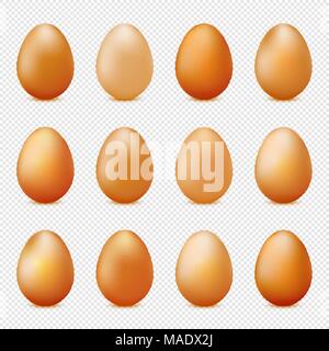 Vector set of realistic eggs on transparent background Stock Vector
