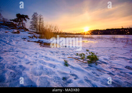 Frozen lake of Hjarlanda Tjarn in gothenburg during a fine evening with golden light from setting sun coming from west . Sweden Stock Photo