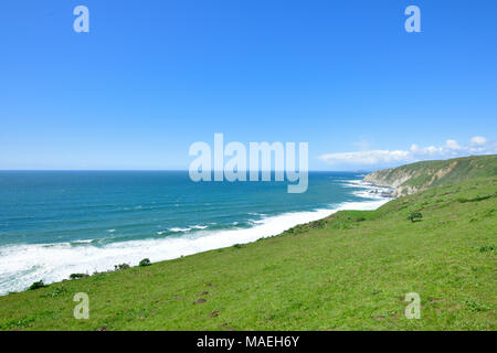 Pacific Coast and Tomale Point Trail Stock Photo