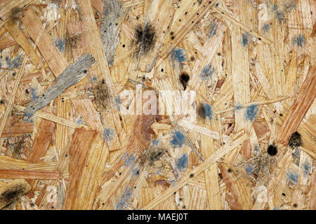 mildew on wooden plank; the effect od dampness over wood Stock Photo