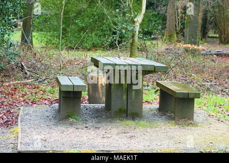 Wooden picnic table and benches in forest, damp from rainfall Stock Photo