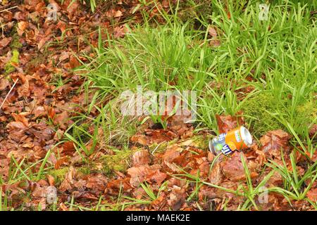 Vibrant green grass on forest floor in spring with a discarded can dropped on the floor Stock Photo