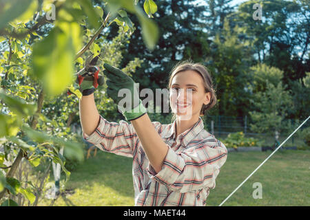 Woman in garden checking fruit tree Stock Photo