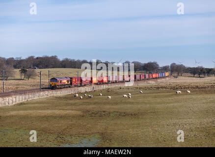 Container Train Db DB Schenker Container Freight Train at Warrington Bank Quay hauled by ...