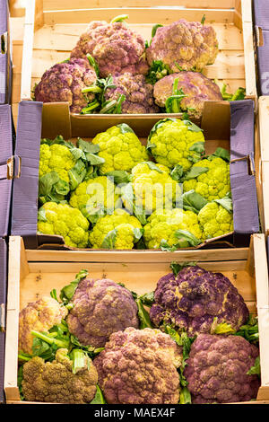 fresh cauliflower in a box on a shelf in a supermarket. Stock Photo
