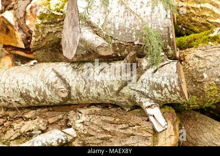 Chopped logs in a pile Stock Photo