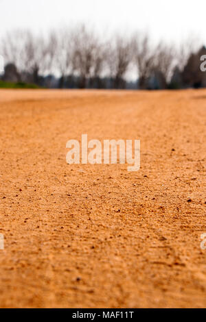 big orange land and brown trees in winter background Stock Photo