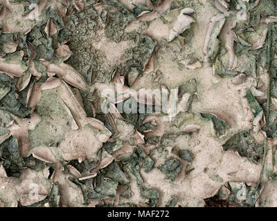 Pelling paint maybe? Substance unknown. In abandoned old factory. Stock Photo