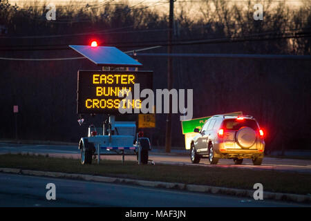 Easter bunny sign on road funny and cute at night Stock Photo