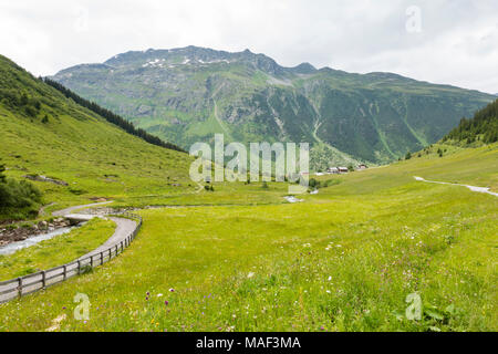 View over summer meadows in the Paznaun Valley, Austria with Galtuer in the background. Stock Photo